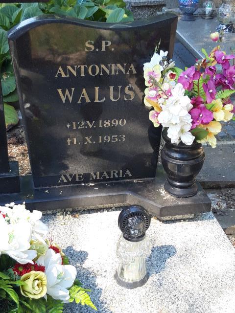 Grób KAZIMIERZ SOKOŁOWSKI