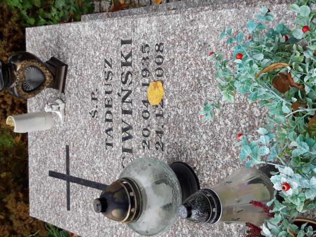 Grób TADEUSZ CIWIŃSKI
